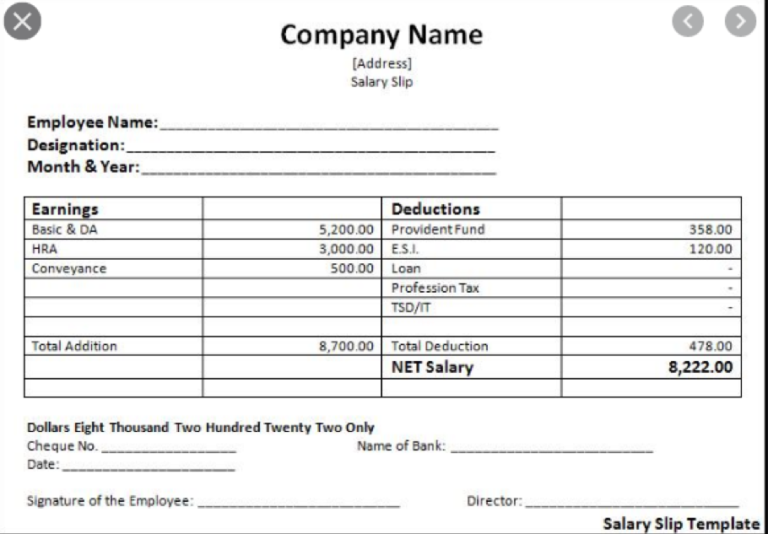 salary slip sample format india