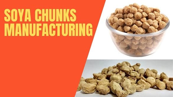 Soya Chunks Brands India