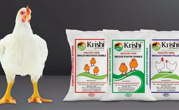 Top 10 Best Poultry Feed Company In India 2023